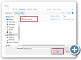 Selezionare il File scaricato da Internet